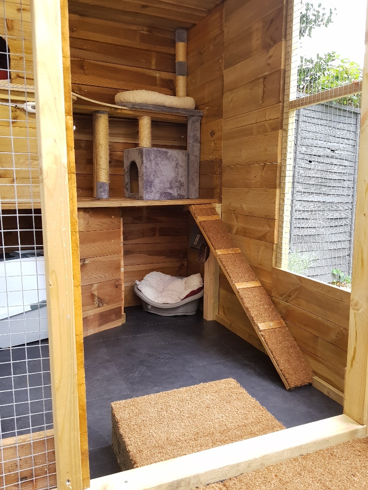 Home Boarding for Cats preciouspawspets.co.uk